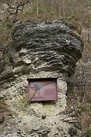 Thomas Müntzer predigte von der Bauernkanzel bei Falken